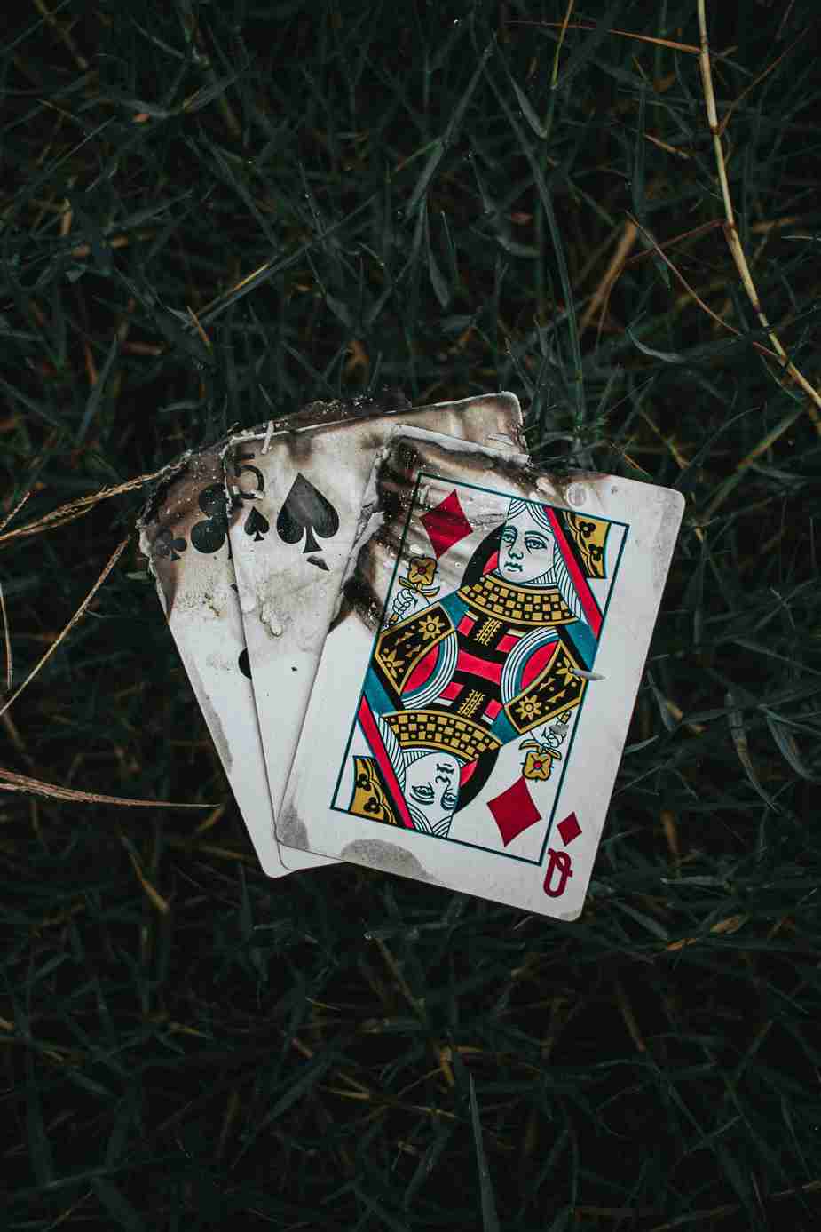 Plinko au Casino ou un Autre Jeu ? Alternatives et Comparaison Plinko au Casino ou un Autre Jeu ? Alternatives et Comparaison